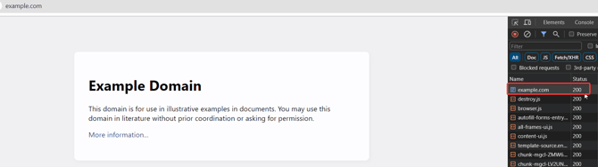 Picture-Example-Domain